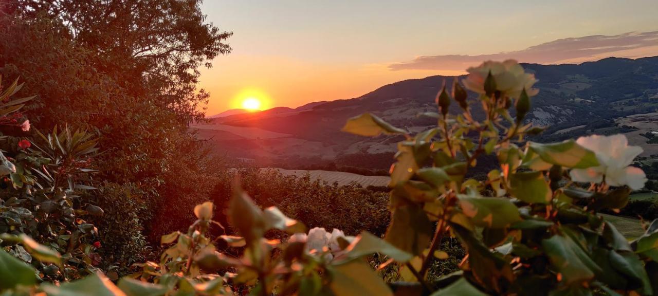 B&B La Terrazza Del Subasio Асизи Екстериор снимка