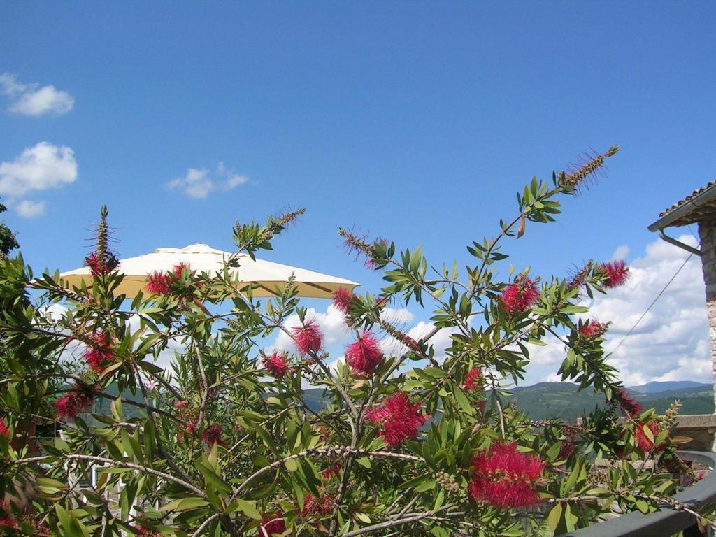 B&B La Terrazza Del Subasio Асизи Стая снимка