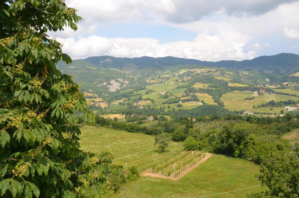 B&B La Terrazza Del Subasio Асизи Екстериор снимка