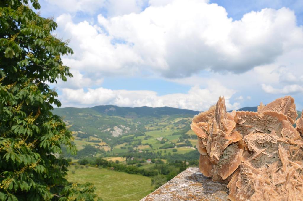 B&B La Terrazza Del Subasio Асизи Екстериор снимка